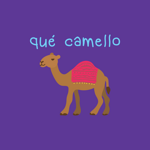Forro Qué camello